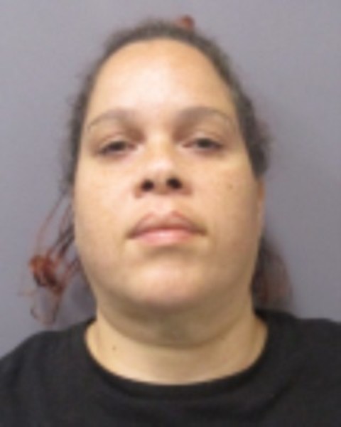 Booking photo of Rosaida Rivera-padilla