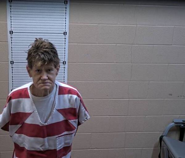 Booking photo of Amy Miles