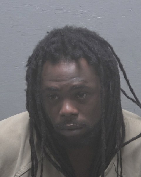 Booking photo of Milek Roland