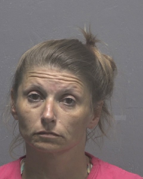 Booking photo of Sherry Sanders