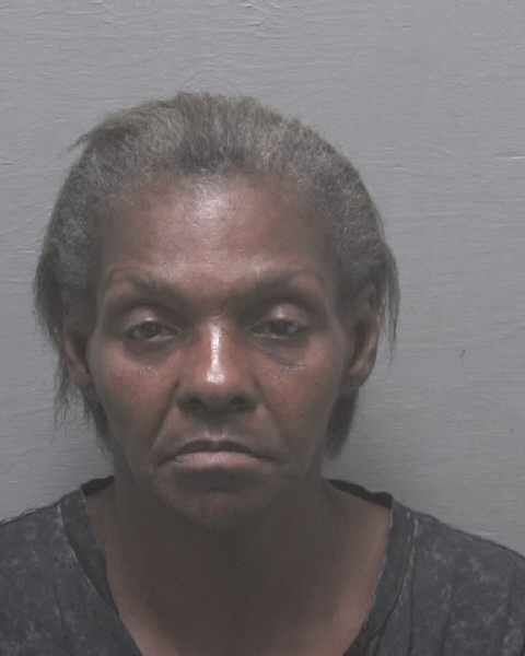 Booking photo of Sophia Long