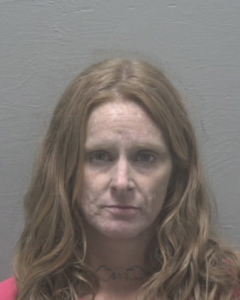 Booking photo of Jordan Distefano