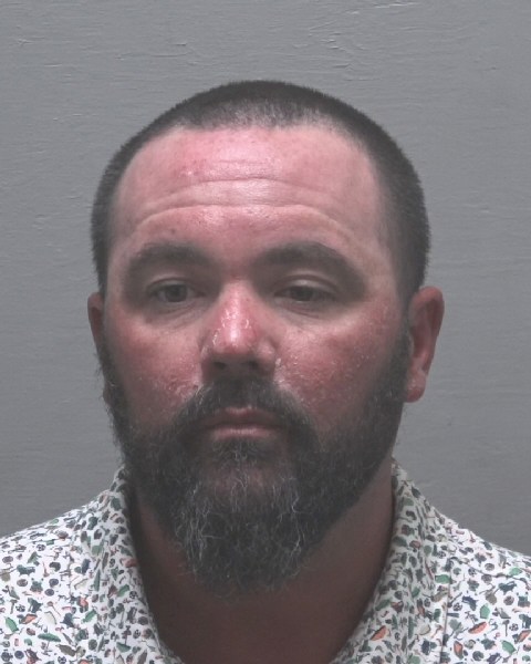Booking photo of Brian Hodgin