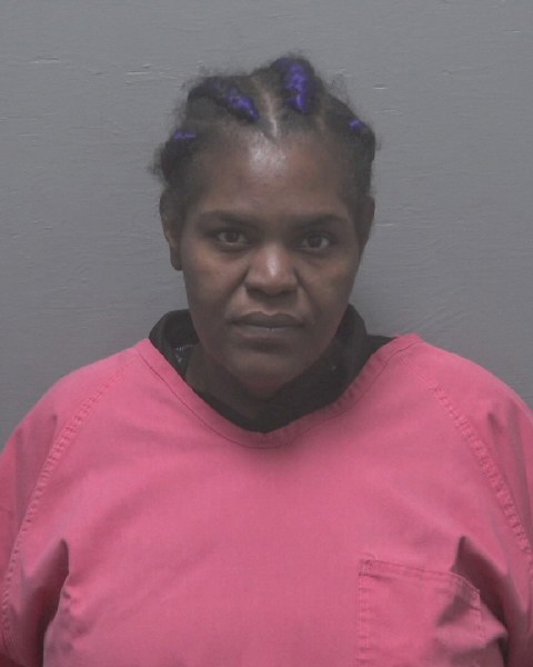 Booking photo of Annie Johnson