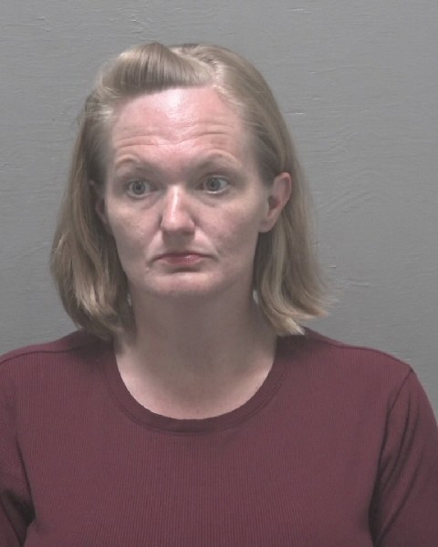 Booking photo of Nina Lisk