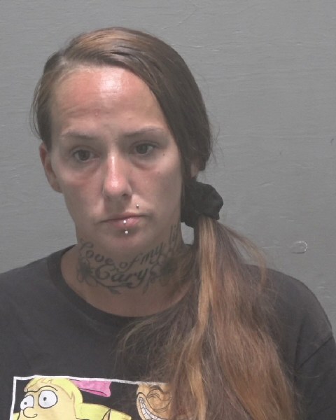 Booking photo of Danielle Sporn