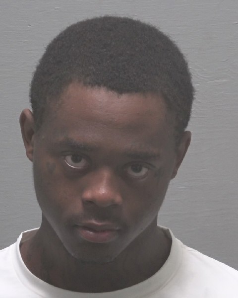 Booking photo of Ari Newsome