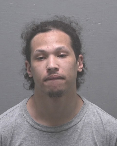 Booking photo of Devon Veronesi