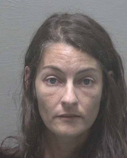 Booking photo of Lauren Hinson