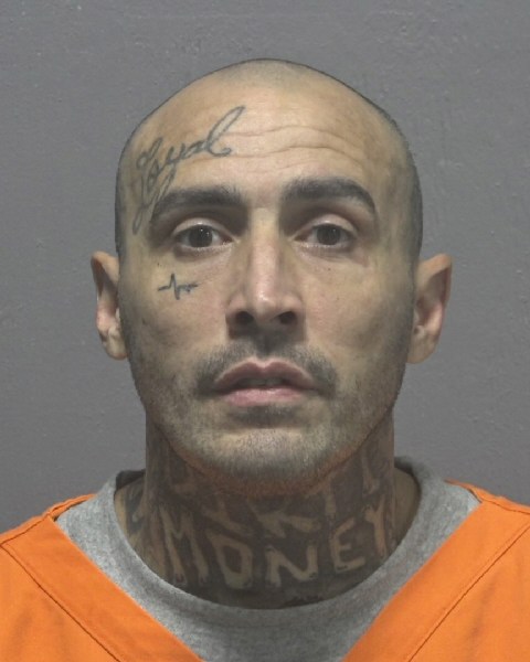 Booking photo of Shannon Fowler