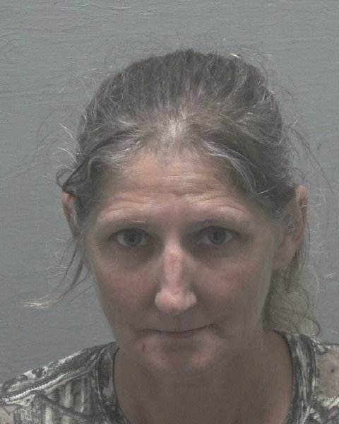 Booking photo of Gail Plourde