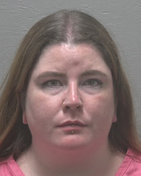 Booking photo of Erica Meehan