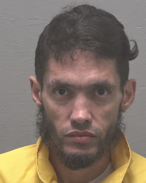 Booking photo of Axel Planadeball