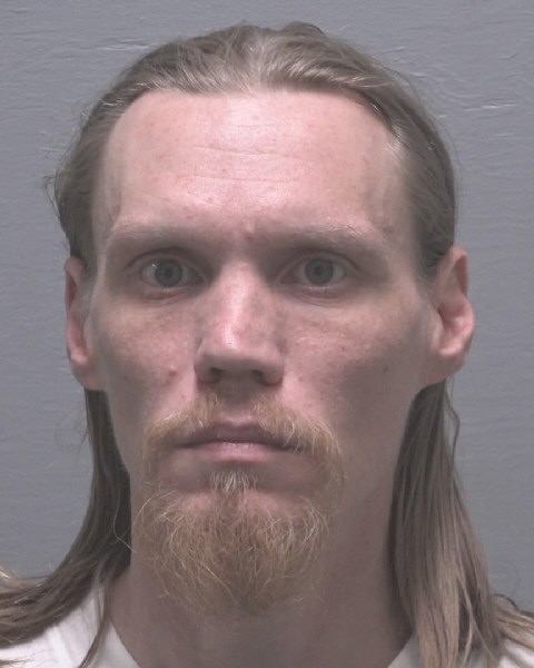 Booking photo of Josey Stull