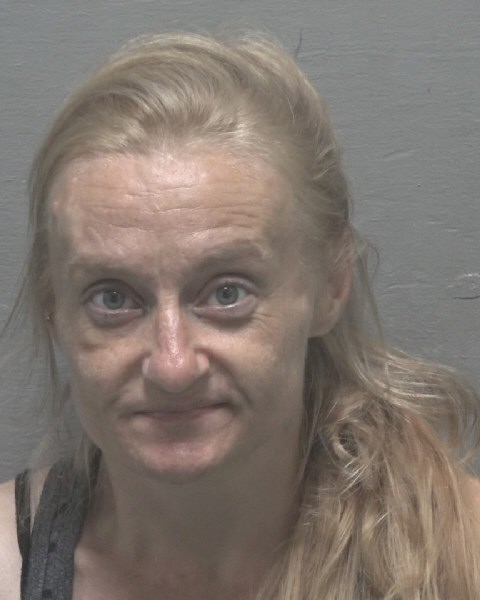 Booking photo of Ashley Hill