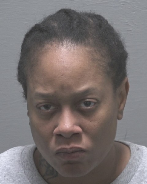 Booking photo of Fareedah Diaab