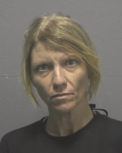 Booking photo of Megan Rogers