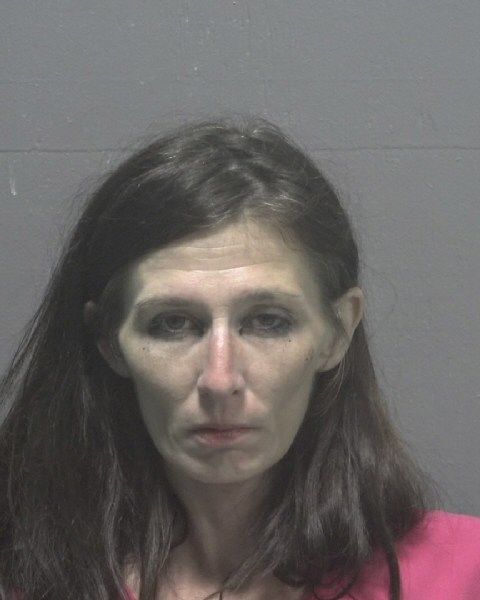 Booking photo of Shana Brennan