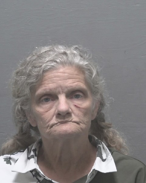Booking photo of Celeste Golladay