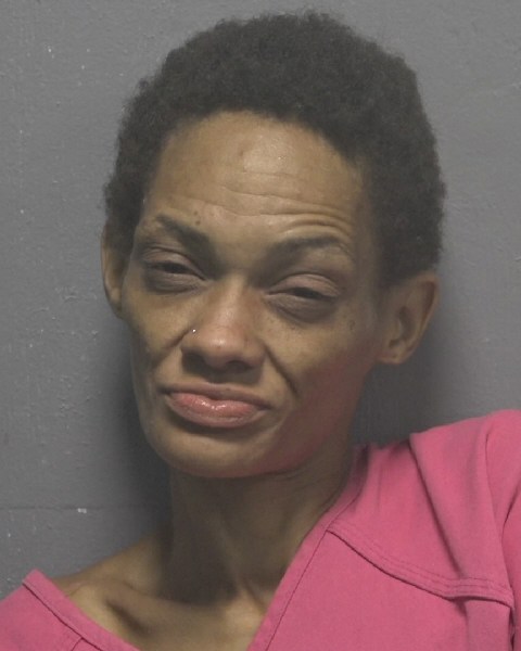 Booking photo of Evelyn Peters