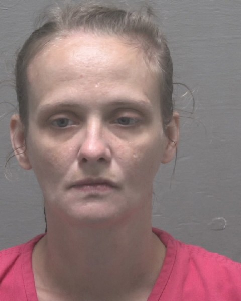 Baleigh Taylor booking photo