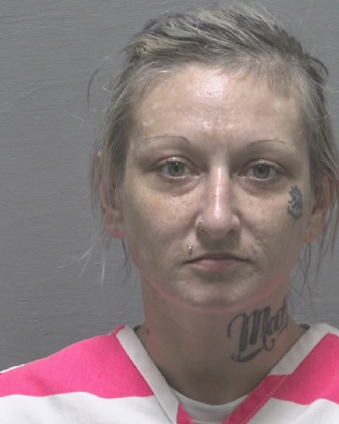 Phylicia Rivenbark booking photo
