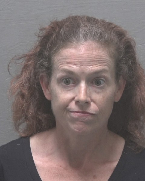 Christina Henne booking photo