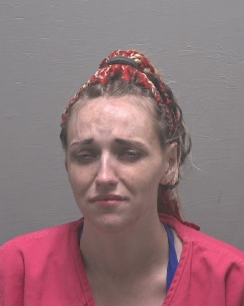 Laurel Pollock booking photo