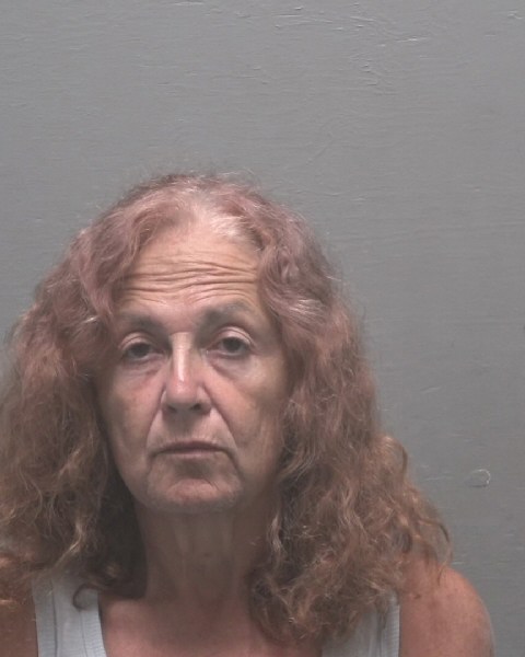 Susan Paul booking photo