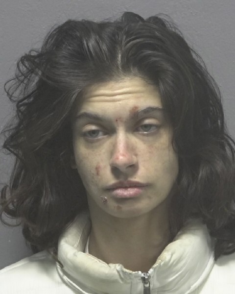 Casandra Marek booking photo