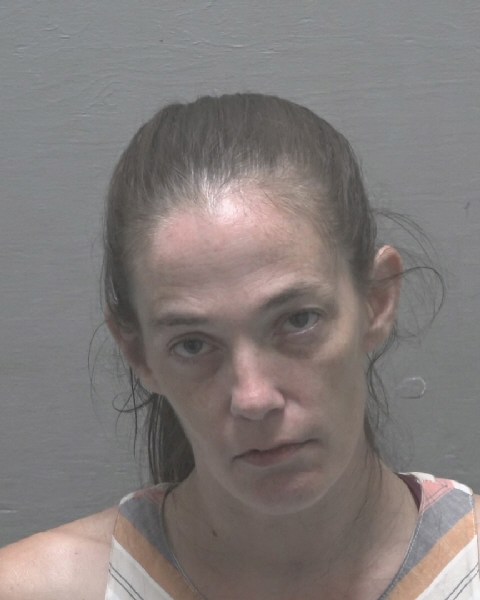 Tracy Robinson booking photo