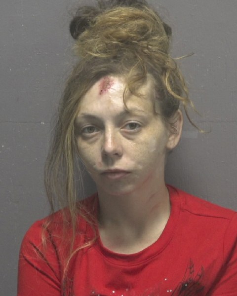 Marissa Reynolds booking photo