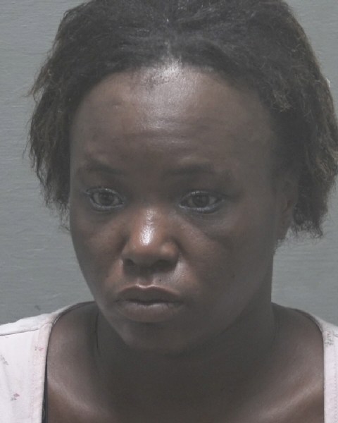 Booking photo of Bettina Mcbride