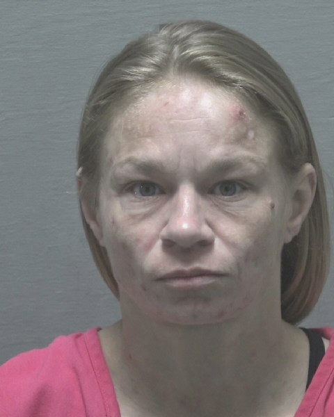 Booking photo of Nicole Gushue