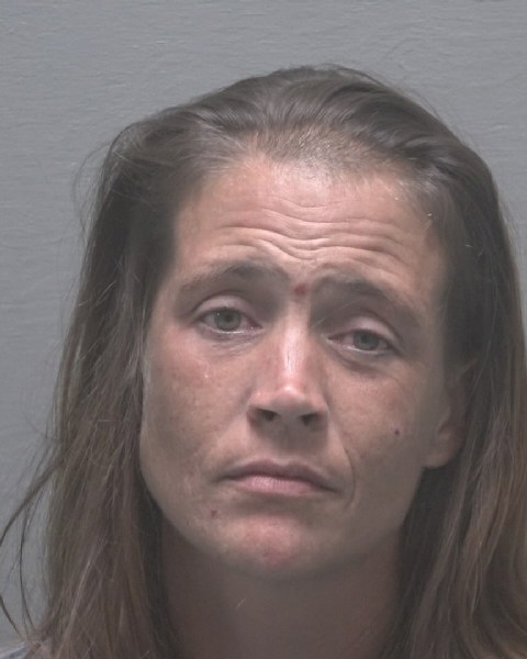 Booking photo of Michelle Stone