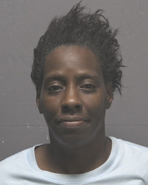 Booking photo of Tonya Holmes