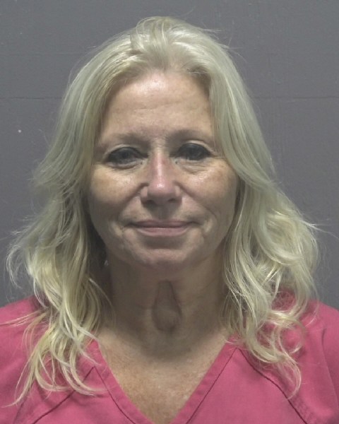 Booking photo of Lisa Holloway