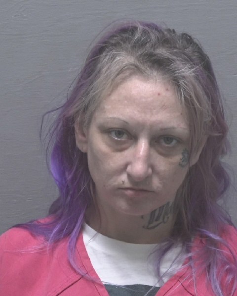 Booking photo of Phylicia Rivenbark