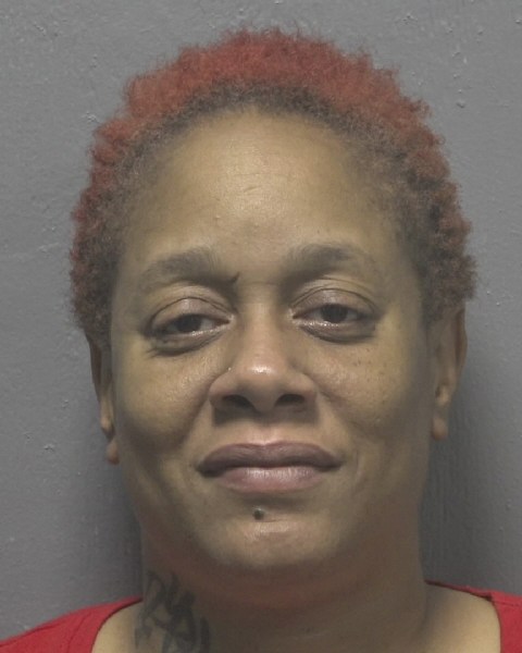 Booking photo of Fareedah Diaab