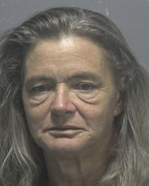Booking photo of Debra Kemp