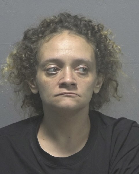 Booking photo of Connie Webster