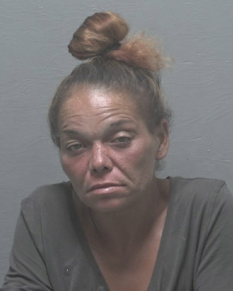 Booking photo of Suzette Haggins