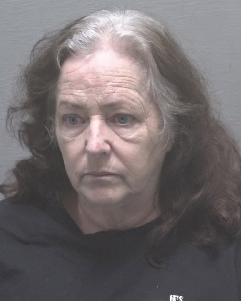 Booking photo of Donna Ryan