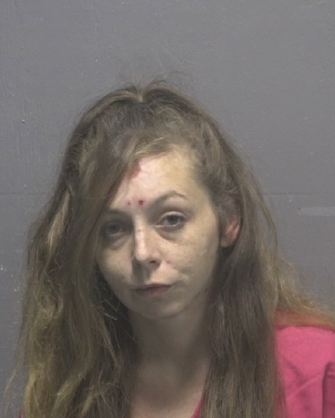 Booking photo of Marissa Reynolds
