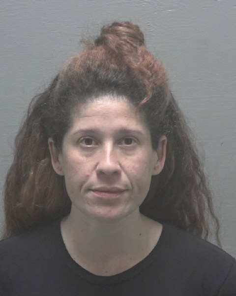 Booking photo of Andrea Bauzulli-iglesias