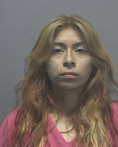 Booking photo of Cynthia Montes-camacho