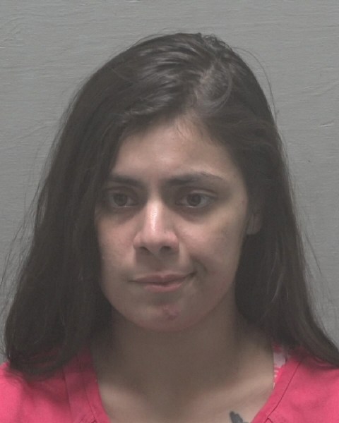 Booking photo of Limari Vasquez