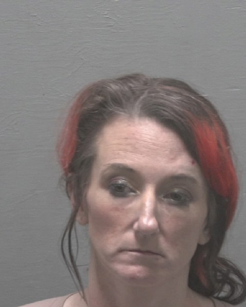 Booking photo of Elizabeth Pridgen
