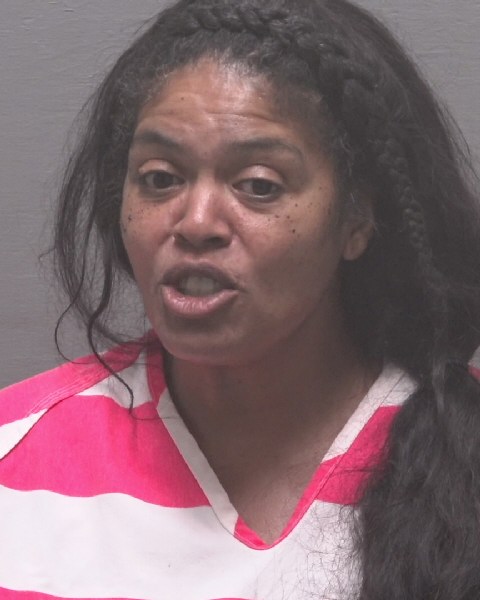 Booking photo of Kristi Lee