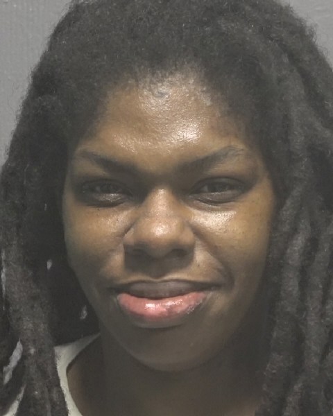 Booking photo of Brittney Hooper